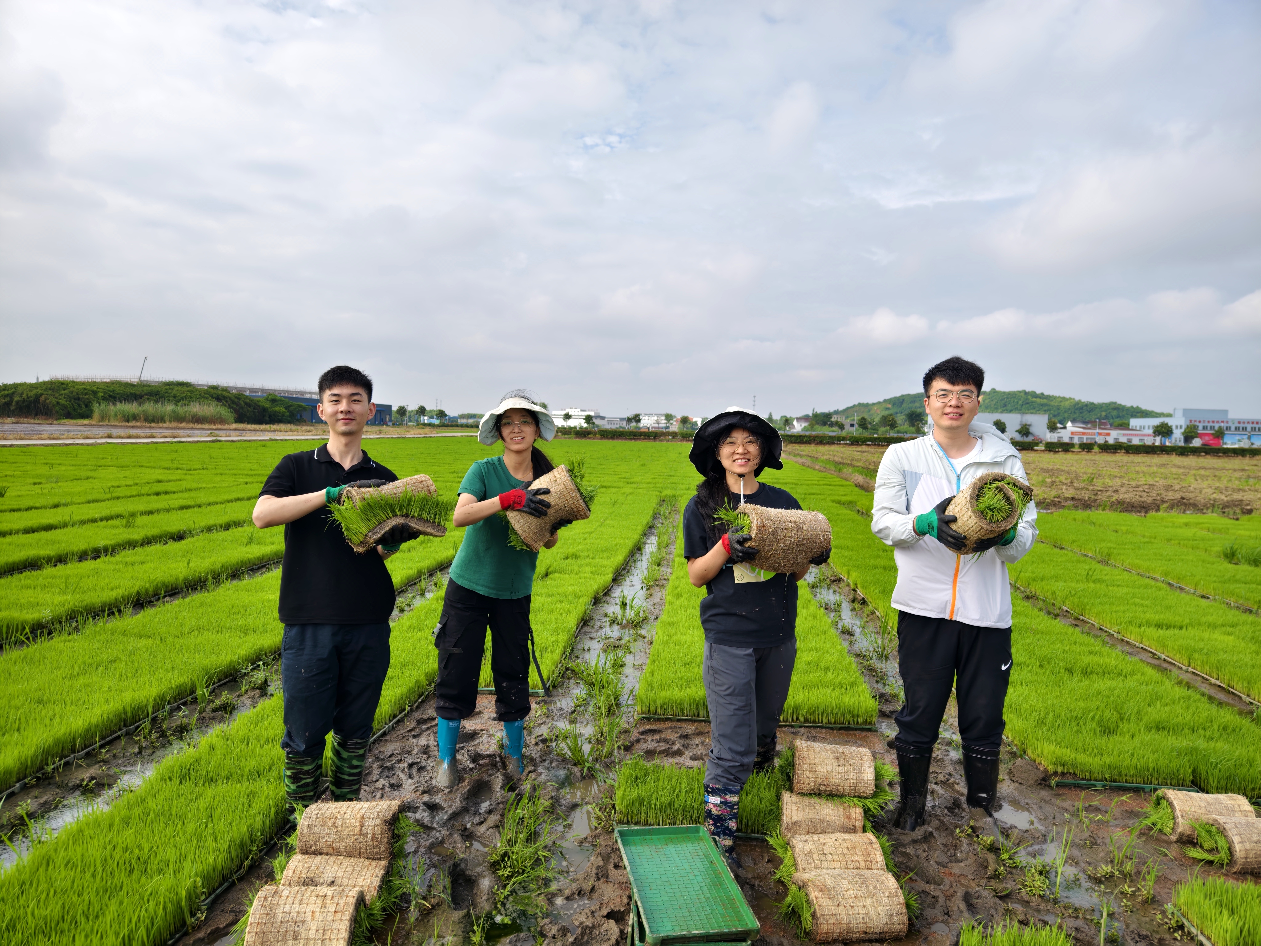 到村任職選調(diào)生在農(nóng)田搬運(yùn)秧盤。（無錫市委組織部 供圖）.jpg